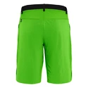 Herren Shorts Salewa  Puez 3 Dst Pale Frog
