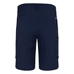 Herren Shorts Salewa  Puez DST M Cargo Shorts Navy Blazer