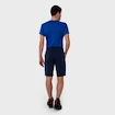 Herren Shorts Salewa  Puez DST M Cargo Shorts Navy Blazer