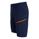 Herren Shorts Salewa  Puez DST M Cargo Shorts Navy Blazer