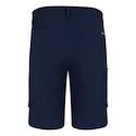 Herren Shorts Salewa  Puez DST M Cargo Shorts Navy Blazer