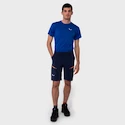 Herren Shorts  Salewa  Puez DST M Cargo Shorts Navy Blazer