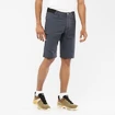 Herren Shorts  Salomon  Wayfarer Shorts Ebony