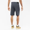 Herren Shorts Salomon  Wayfarer Shorts Ebony