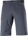 Herren Shorts  Salomon  Wayfarer Shorts Ebony 48