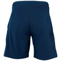 Herren Shorts Tecnifibre  Stretch Blue