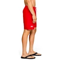 Herren Shorts Under Armour