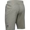 Herren Shorts Under Armour