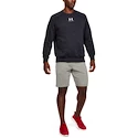 Herren Shorts Under Armour