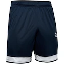 Herren Shorts Under Armour
