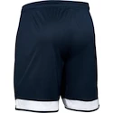 Herren Shorts Under Armour