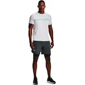 Herren Shorts Under Armour
