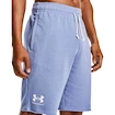 Herren Shorts Under Armour