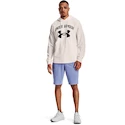 Herren Shorts Under Armour