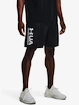 Herren Shorts Under Armour