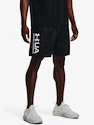 Herren Shorts Under Armour
