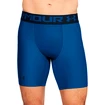 Herren Shorts Under Armour HeatGear