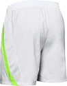 Herren Shorts Under Armour Launch SW 7"