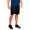 Herren Shorts Under Armour MK1