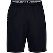 Herren Shorts Under Armour MK1 Short Wordmark Black