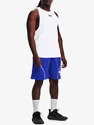 Herren Shorts Under Armour  PERIMETER 11'' SHORT-BLU