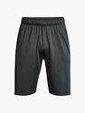 Herren Shorts Under Armour  Raid 2.0 Shorts-GRY