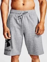 Herren Shorts Under Armour  Rival FLC Big Logo Shorts gray M