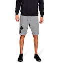Herren Shorts Under Armour Rival Fleece Logo Sweatshort Grey