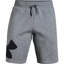 Herren Shorts Under Armour Rival Fleece Logo Sweatshort Grey