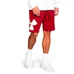 Herren Shorts Under Armour Rival Fleece Logo Sweatshort Red