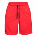 Herren Shorts Under Armour  Tech Mesh Short