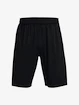 Herren Shorts Under Armour  Tech WM Graphic Short-BLK