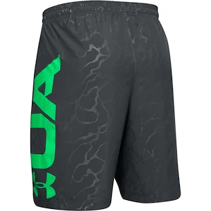 Herren Shorts Under Armour  Vanish Woven Emboss