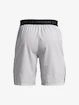 Herren Shorts Under Armour  Vanish Woven Snap Sts-GRY