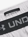 Herren Shorts Under Armour  Vanish Woven Snap Sts-GRY