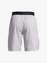 Herren Shorts Under Armour  Vanish Woven Snap Sts-GRY