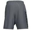 Herren Shorts Under Armour  Woven Graphic Wordmark Short Grey