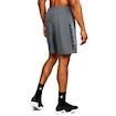 Herren Shorts Under Armour  Woven Graphic Wordmark Short Grey