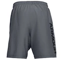 Herren Shorts Under Armour  Woven Graphic Wordmark Short Grey
