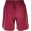 Herren Shorts Virtus Coimba Red