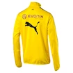 Herren Sweatshirt Puma Training Top Borussia Dortmund 749853011