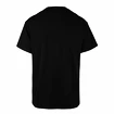 Herren T-Shirt 47 Brand  NHL Anaheim Ducks ECHO Tee