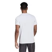 Herren T-Shirt adidas  Club Graphic Tee White