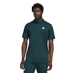 Herren T-Shirt adidas  Club Tennis Polo Shirt Aurora Ivy