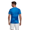 Herren T-Shirt adidas Flif Olymp Tokyo HR Blue