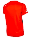 Herren T-Shirt Babolat Core Flag Club Tee Red