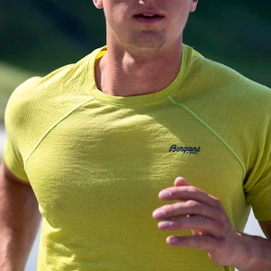 Herren T-Shirt Bergans  Floyen Wool Tee Green XL