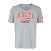 Herren T-Shirt CCM  FLAG TEE TEAM AUSTRIA Athletic Grey