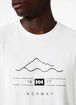 Herren T-Shirt Helly Hansen  Skog Recycled Graphic T-Shirt White