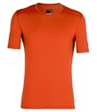 Herren-T-Shirt Icebreaker 200 Oasis SS Crewe